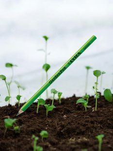 Олівець садовий Garden Pen Lyra 178мм  для підпису рослин ACC-GAR-PEN-1 фото