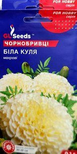 Насіння квітів Чорнобривці Біла Куля SDS-AN-PAC-522 фото