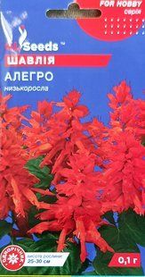 Насіння квітів Шавлія Алегро 0.1г SDS-AN-PAC-251 фото