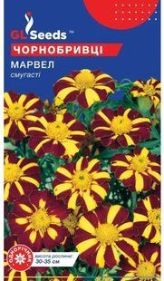 Насіння квітів Чорнобривці Марвел  0.2г SDS-AN-PAC-1063  фото
