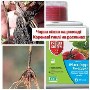 Магнікур Енерджі 3мл розлив Засіб від хвороб PRE-FUN-3ml-119 фото