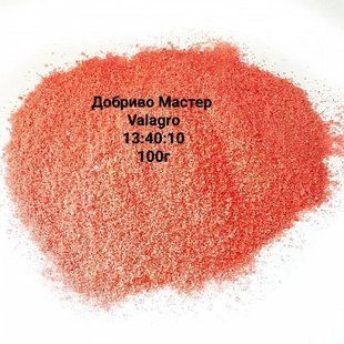 Мастер Valagro вегетація 13:40:10 фасоване 100г FRT-KORNI-100g-18 фото