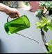 Лійка з довгим носиком 1л з розпилювачем GREEN(зелена ) ACC-1l-GREEN-0013 фото 4