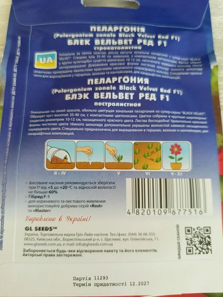 Насіння пеларгонії Блек Вельвет 5гранул SDS-HOME-PAC-201 фото