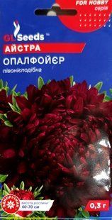 Насіння квітів Айстра Опалфойєр 0.3г SDS-AN-PAC-371 фото