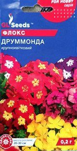 Насіння квітів Флокс Друммонда 0.2г SDS-AN-PAC-255 фото