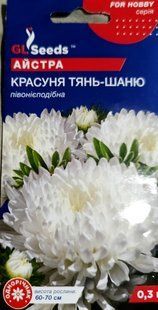 Насіння квітів Айстра Красуня Тянь-Шаню 0.3 г SDS-AN-PAC-376 фото