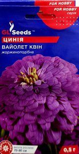 Насіння квітів Цинія Вайолет Квін SDS-AN-PAC-514 фото