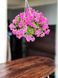 Петунія Tumbeline Candyfloss PLT-AN-CAS-644 фото 1