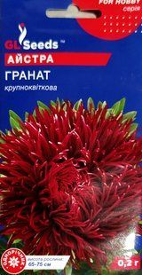 Насіння квітів Айстра Гранат 0.2г SDS-AN-PAC-381 фото
