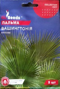 Насіння квітів Пальма Вашингтонія 5шт SDS-HOME-PAC-213 фото