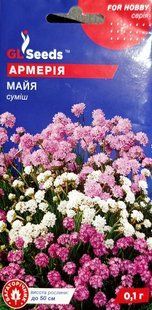 Насіння квітів Армерія Майя суміш 0.1г SDS-PR-PAC-216 фото
