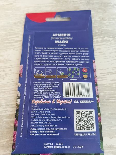 Насіння квітів Армерія Майя суміш 0.1г SDS-PR-PAC-216 фото