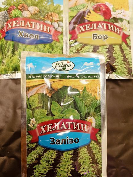 Ф-Хелатин Залізо 50мл FRT-FE-25g-885 фото