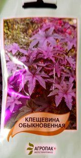 Насіння квітів Кліщивина звичайна 5шт SDS-AN-FAS-483 фото
