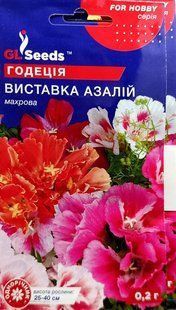 Насіння квітів годеція Виставка азалій SDS-AN-PAC-515 фото