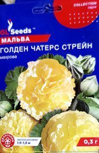 Мальва Голден Чатерз Стрейн напівподукт касетна розсада PLT-PR-CAS-904 фото