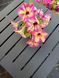 Петунія вегетативна Alpetunia Magenta Yellow Star вазон PLT-AN-VAZ-840 фото 2