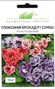 Насіння Глоксинія Брокад F1 суміш 10шт SDS-HOME-PAC-1127 фото