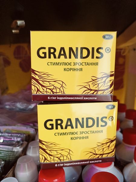 Грандіс 50г FRT-KORNI-50g-887 фото