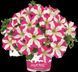 Петунія Amore Pink Heart PLT-AN-CAS-656 фото 1