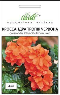 Насіння кросандра Тропік Ред 4шт SDS-HOME-PAC-1129 фото