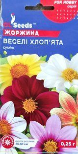 Насіння квітів Жоржина Веселі Хлоп'ята 0.25г SDS-AN-PAC-278 фото