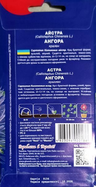 Насіння квітів Айстра Ангора SDS-AN-PAC-392 фото