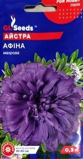 Насіння квітів Айстра Афіна SDS-AN-PAC-393 фото