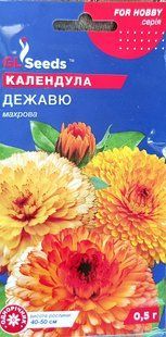 Насіння квітів Календула Дежавю 0.5г SDS-AN-PAC-280 фото