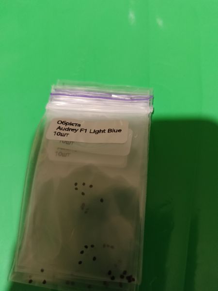 Насіння квітів 10шт Обрієта Audrey F1 Light Blue SDS-PR-FAS-96 фото