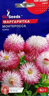 Насіння квітів Маргаритка Монтеросса 0.1г SDS-BR-PAC-228 фото