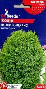 Насіння квітів Кохія Літній Кипарис 0.5г SDS-AN-PAC-397 фото