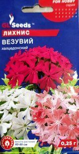 Насіння квітів Ліхніс Везувій халцедонський 0.25г SDS-PR-PAC-412 фото