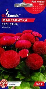 Насіння квітів Маргаритка Ерлі Етна 0.1г SDS-BR-PAC-229 фото