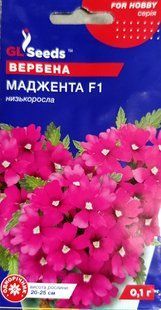 Насіння квітів Вербена Маджента 0.1г SDS-AN-PAC-398 фото