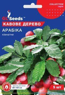 Насіння Кавове дерево Арабіка 5шт SDS-HOME-PAC-1012 фото