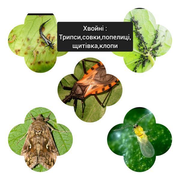 Гудвін +Авангард Гроу Аміно 5мл+10мл засіб від шкідників PRE-FUN-INS-114 фото