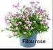 Гіпсофіла FILOU ROSE PLT-GIP-PINK-1045 фото 1