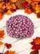 №32 Хризантема DAYBREAK PINK$WHITE (СВІТАНОК)мультифлора касетна розсада PLT-CH-32CAS-1381 фото 1