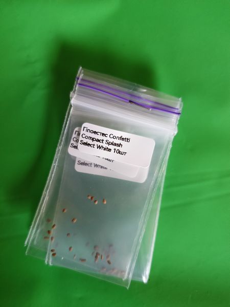 Насіння квітів 10шт Гіпоестес Confetti Compact Splash White SDS-AN-FAS-53 фото