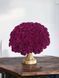 №31 Хризантема DAYBREAK LAGOON PURPLE(СВІТАНОК)мультифлора касетна розсада PLT-CH-31CAS-1382 фото 1