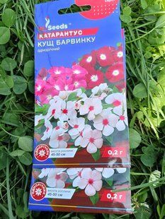 Насіння квітів Катарантус кущовий Кущ Барвінку 0,2г SDS-AN-PAC-1101 фото