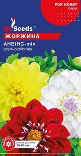 Насіння жоржини Анвінс 0.5г SDS-AN-PAC-1137 фото