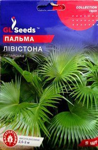 Насіння квітів пальма Лівістона SDS-HOME-PAC-508 фото
