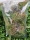 Мох живий 1л SOI-SFGGREEN-1l-417 фото 3