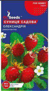Насіння суниця Олександрія   GL SEEDS SDS-OLEX-SUN-1058 фото