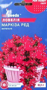 Насіння квітів Лобелія Маркіза Ред 0.1г SDS-AN-PAC-248 фото