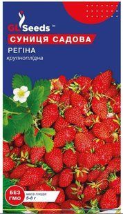 Насіння суниця Регіна GL SEEDS SDS-REG-SUN-1059 фото