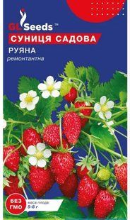 Насіння суниця Руяна  GL SEEDS SDS-R-RUY-1061 фото